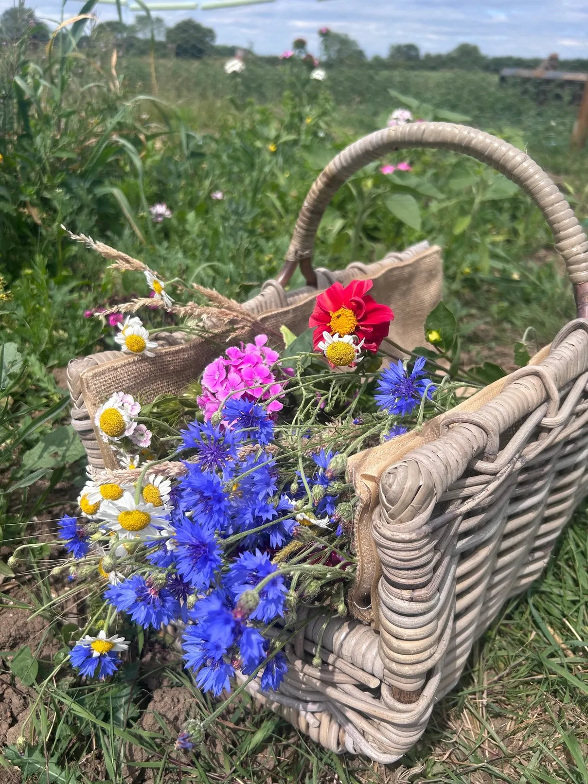 Junk Journal Fest & Flower Picking @ Tickton Farm 23/08/2026